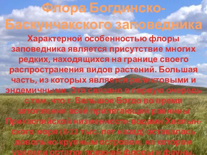 Характерной особенностью флоры заповедника является присутствие многих редких, находящихся на границе своего