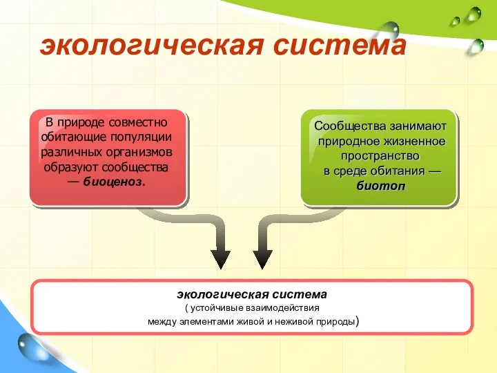 экологическая система Сообщества занимают природное жизненное пространство в среде обитания — биотоп