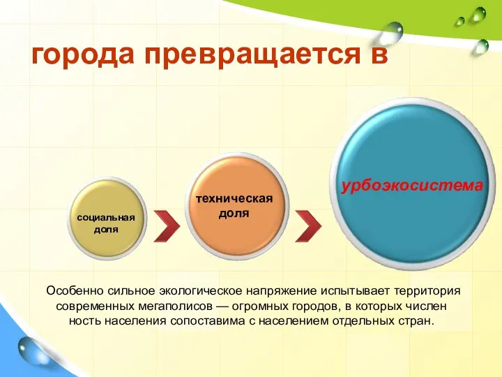 города превращается в Особенно силь­ное экологическое напряжение испытывает территория совре­менных мегаполисов —