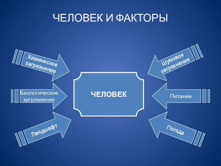 ЧЕЛОВЕК И ФАКТОРЫ ЧЕЛОВЕК Питание Погода Шумовое загрязнение Биологическое загрязнение Ландшафт Химическое загрязнение