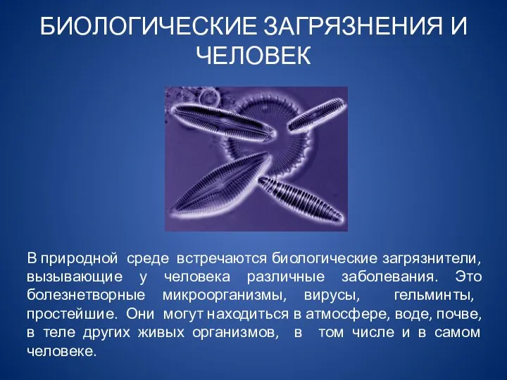 В природной среде встречаются биологические загрязнители, вызывающие у человека различные заболевания. Это