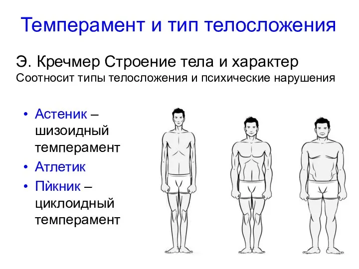 Темперамент и тип телосложения Астеник – шизоидный темперамент Атлетик Пѝкник – циклоидный