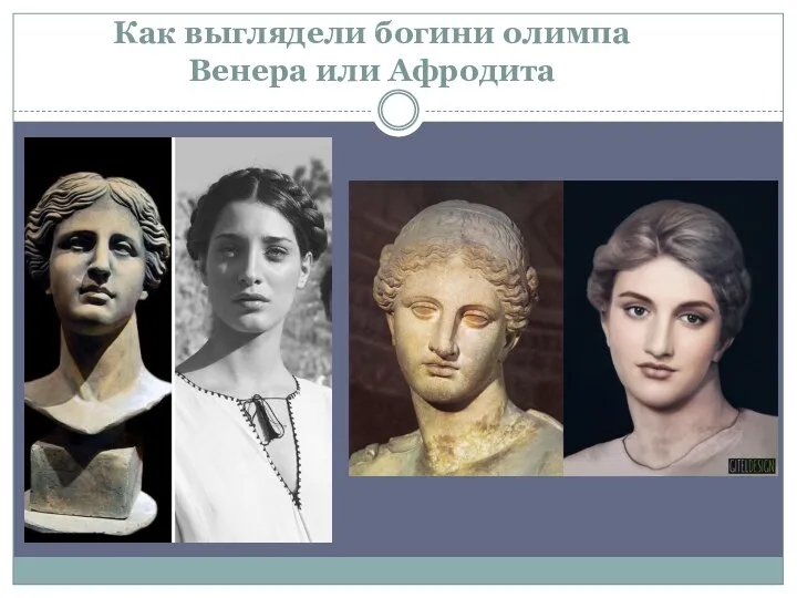 Как выглядели богини олимпа Венера или Афродита
