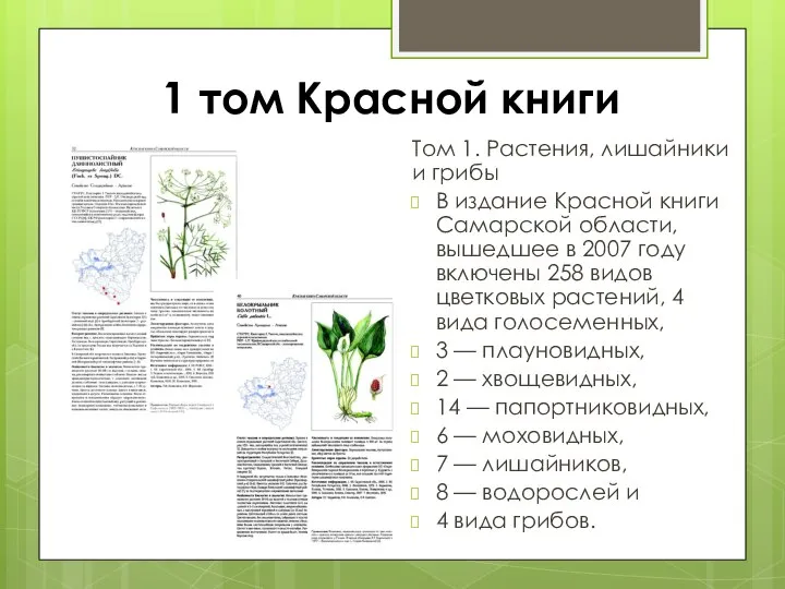 1 том Красной книги Том 1. Растения, лишайники и грибы В издание