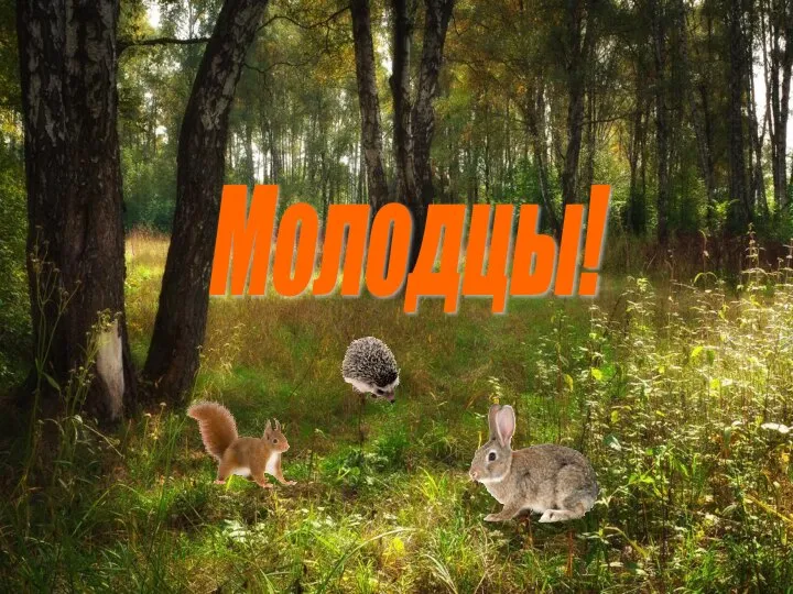 Молодцы!