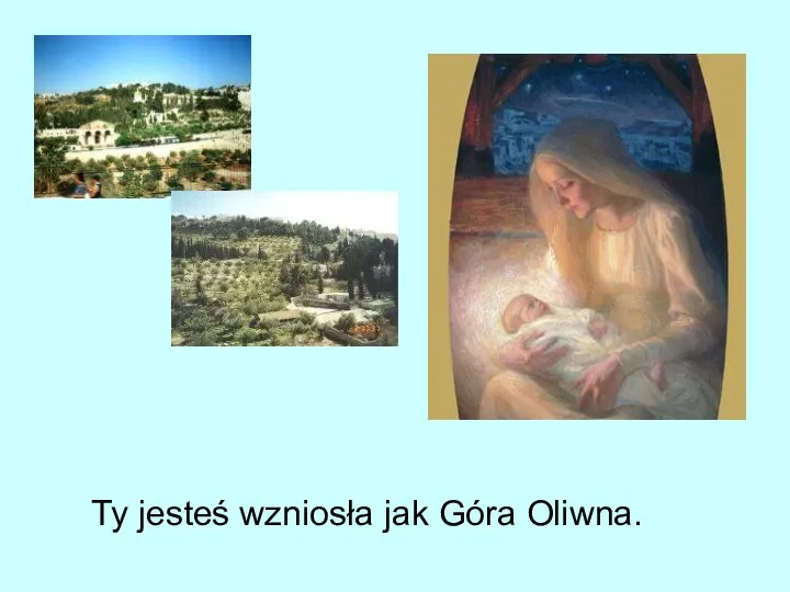 Ty jesteś wzniosła jak Góra Oliwna.