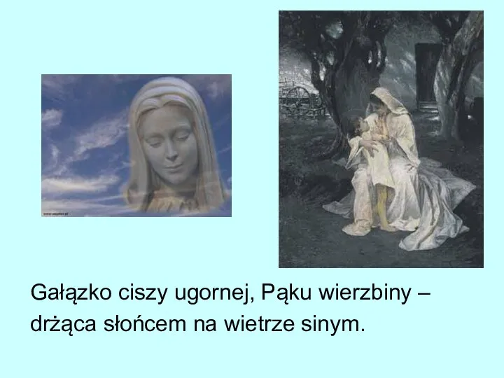 Gałązko ciszy ugornej, Pąku wierzbiny – drżąca słońcem na wietrze sinym.