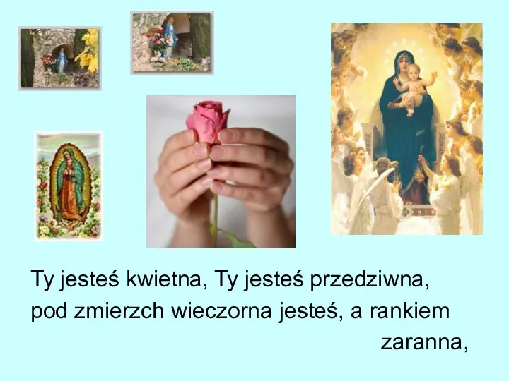 Ty jesteś kwietna, Ty jesteś przedziwna, pod zmierzch wieczorna jesteś, a rankiem zaranna,