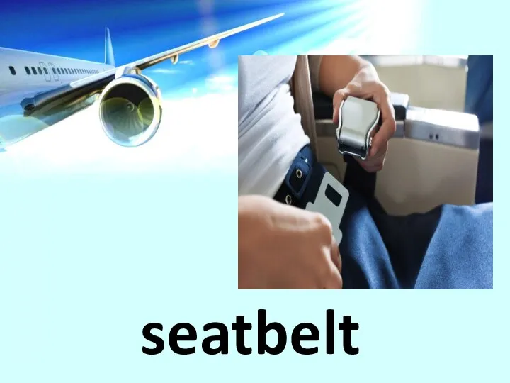 seatbelt