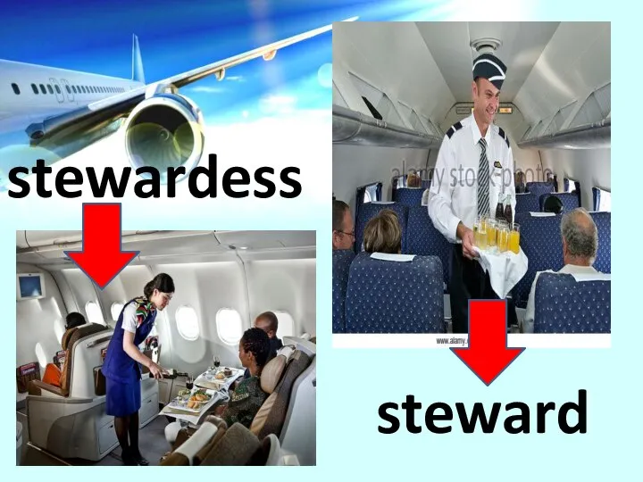 stewardess steward
