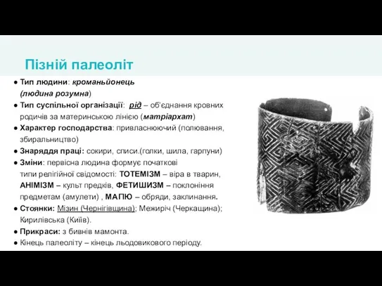 Тип людини: кроманьйонець (людина розумна) Тип суспільної організації: рід – об’єднання кровних