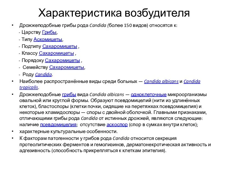 Характеристика возбудителя Дрожжеподобные грибы рода Candida (более 150 видов) относятся к: -