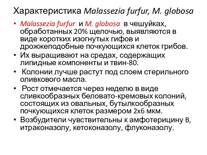 Характеристика Malassezia furfur, M. globosa Malassezia furfur и M. globosa в чешуйках,