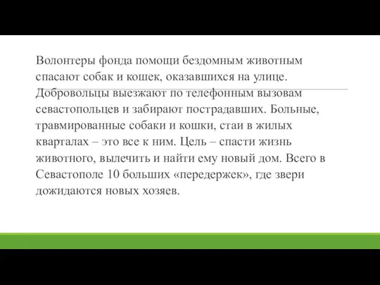 Волонтеры фонда помощи бездомным животным спасают собак и кошек, оказавшихся на улице.