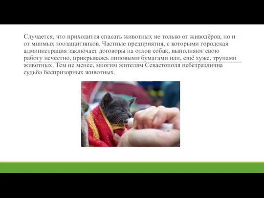 Случается, что приходится спасать животных не только от живодёров, но и от