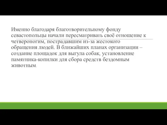 Именно благодаря благотворительному фонду севастопольцы начали пересматривать своё отношение к четвероногим, пострадавшим