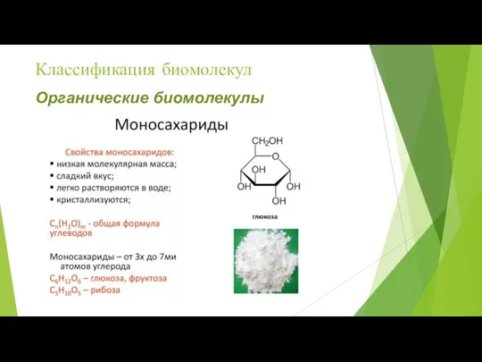 Классификация биомолекул Органические биомолекулы