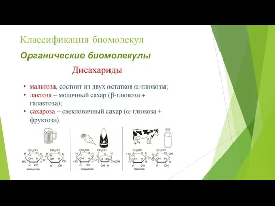 Классификация биомолекул Органические биомолекулы