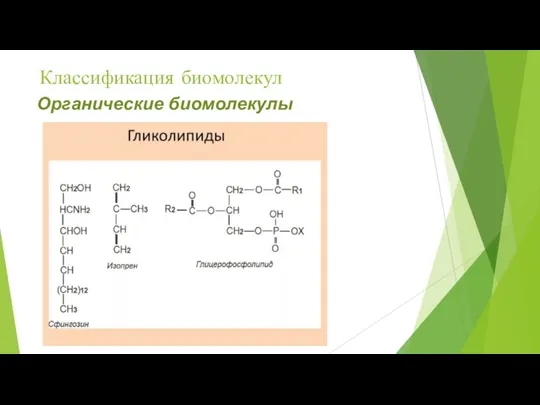 Классификация биомолекул Органические биомолекулы