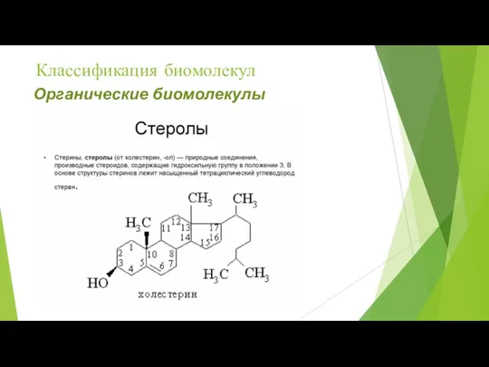 Классификация биомолекул Органические биомолекулы