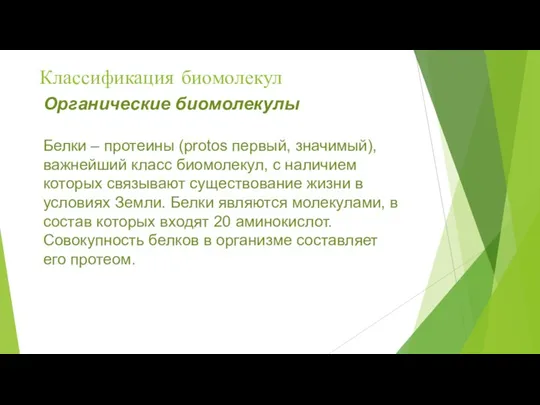 Классификация биомолекул Органические биомолекулы Белки – протеины (protos первый, значимый), важнейший класс