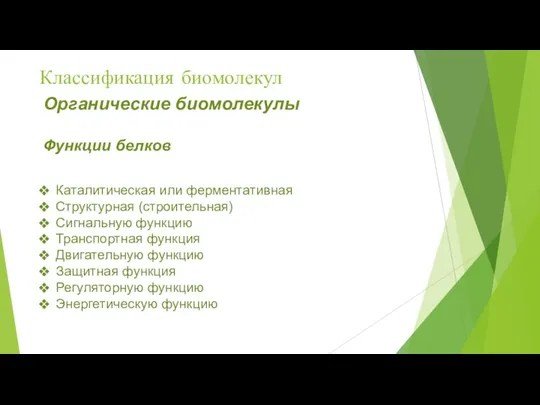 Классификация биомолекул Органические биомолекулы Функции белков Каталитическая или ферментативная Структурная (строительная) Сигнальную