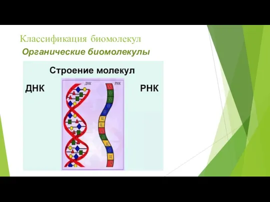 Классификация биомолекул Органические биомолекулы