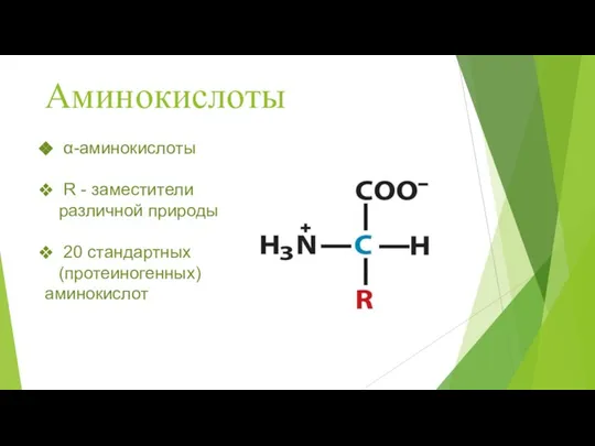 Аминокислоты α-аминокислоты R - заместители различной природы 20 стандартных (протеиногенных) аминокислот