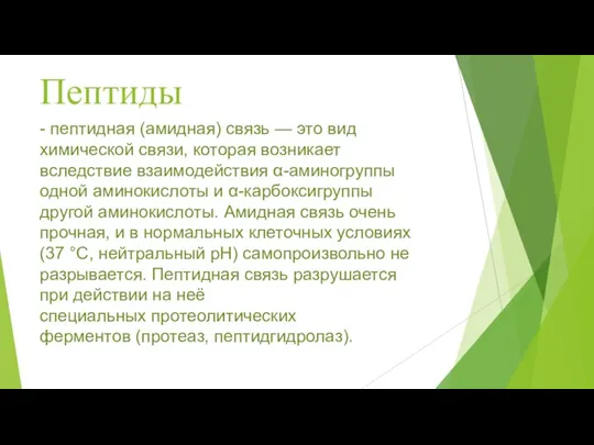 Пептиды - пептидная (амидная) связь — это вид химической связи, которая возникает