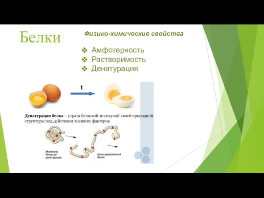 Белки Физико-химические свойства Амфотерность Растворимость Денатурация