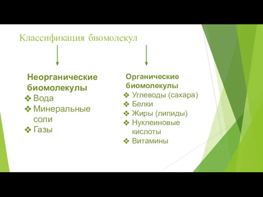 Классификация биомолекул Неорганические биомолекулы Вода Минеральные соли Газы Органические биомолекулы Углеводы (сахара)