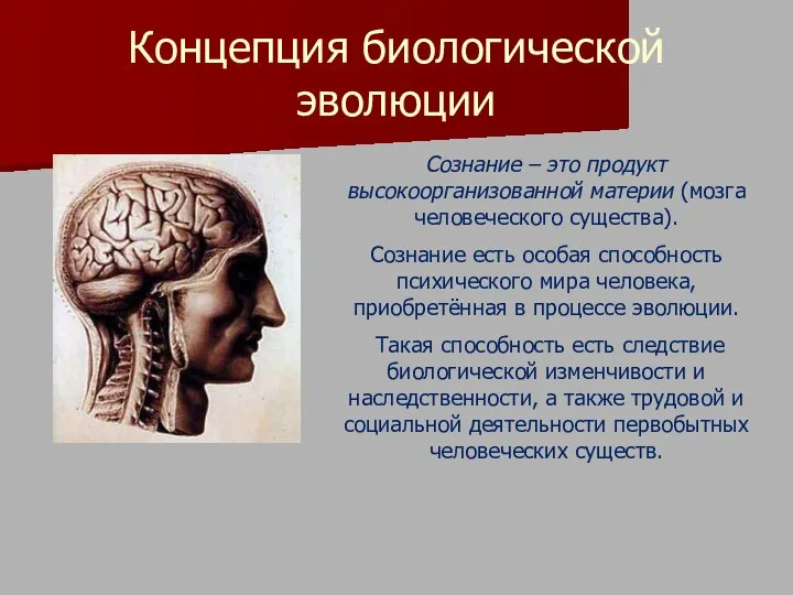 Концепция биологической эволюции Сознание – это продукт высокоорганизованной материи (мозга человеческого существа).