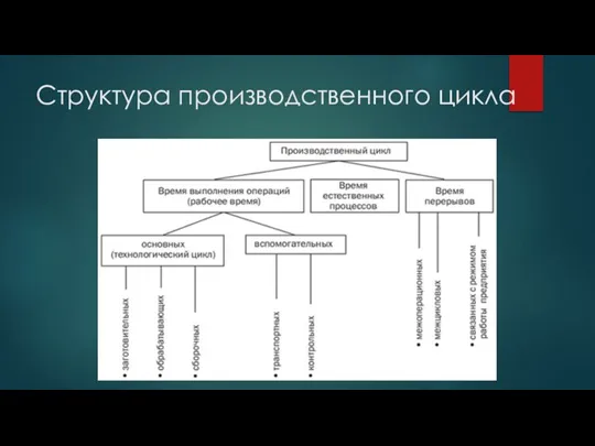 Структура производственного цикла