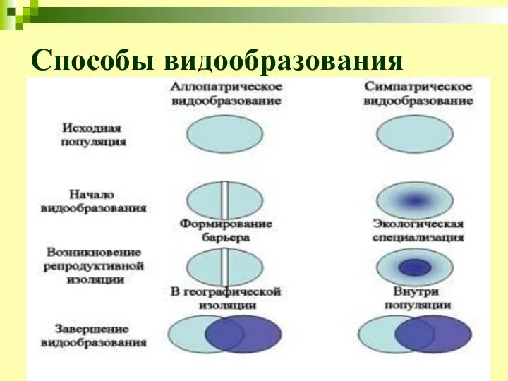 Способы видообразования