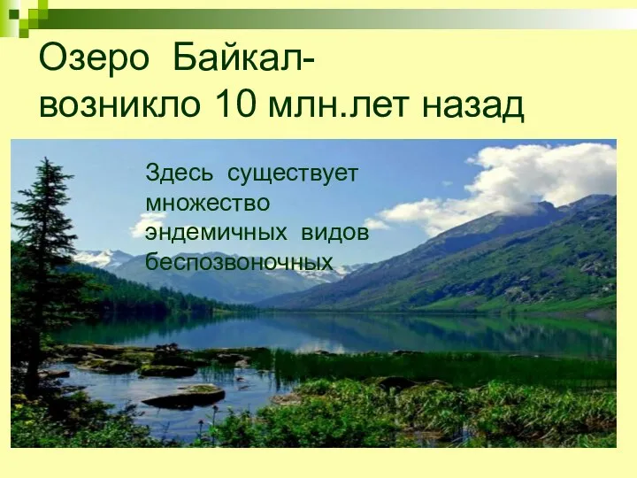 Озеро Байкал- возникло 10 млн.лет назад Здесь существует множество эндемичных видов беспозвоночных