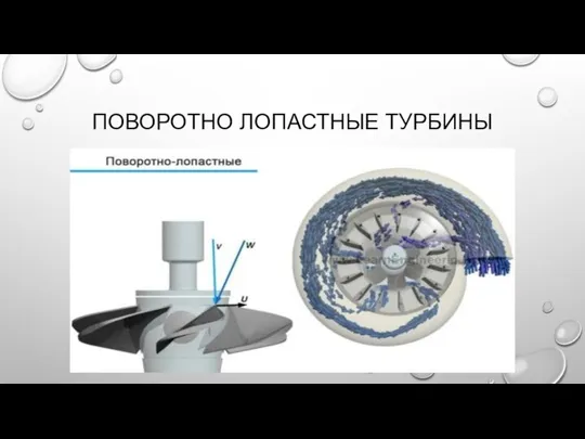 ПОВОРОТНО ЛОПАСТНЫЕ ТУРБИНЫ