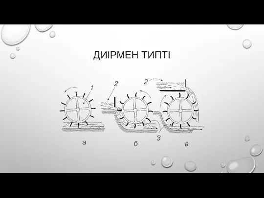 ДИІРМЕН ТИПТІ