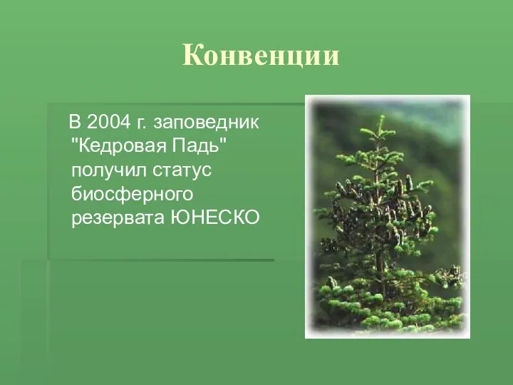 Конвенции В 2004 г. заповедник "Кедровая Падь" получил статус биосферного резервата ЮНЕСКО