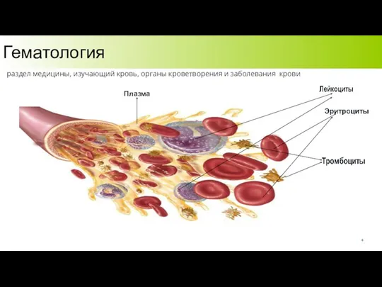 Гематология раздел медицины, изучающий кровь, органы кроветворения и заболевания крови Плазма