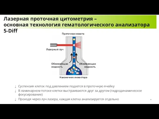 Лазерная проточная цитометрия – основная технология гематологического анализатора 5-Diff Суспензия клеток под