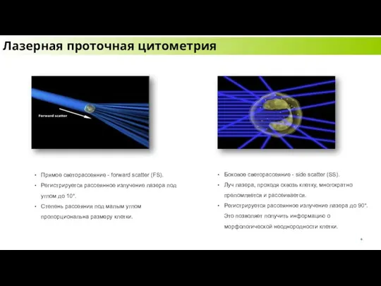 Прямое светорассеяние - forward scatter (FS). Регистрируется рассеянное излучение лазера под углом