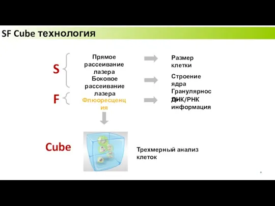 S F Cube Прямое рассеивание лазера Боковое рассеивание лазера Флюоресценция Трехмерный анализ