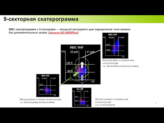 9-секторная скатерограмма RBC скатерограмма с 9 секторами — мощный инструмент для определения