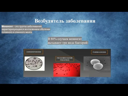 Возбудитель заболевания Менингит – это группа заболеваний, характеризующаяся воспалением оболочек головного и