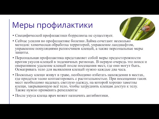 Меры профилактики Специфической профилактики боррелиоза не существует. Сейчас усилия по профилактике болезни