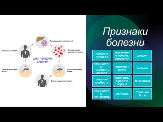 Признаки болезни ломота в суставах увеличение печени, селезенки диарея повышенная температура тела