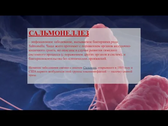 САЛЬМОНЕЛЛЕЗ – инфекционное заболевание, вызываемое бактериями рода Salmonella. Чаще всего протекает с