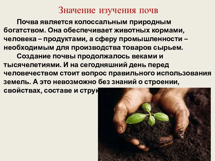 Значение изучения почв Почва является колоссальным природным богатством. Она обеспечивает животных кормами,