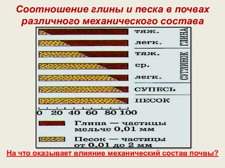 Соотношение глины и песка в почвах различного механического состава На что оказывает влияние механический состав почвы?