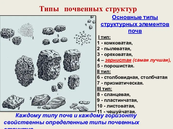 Основные типы структурных элементов почв I тип: 1 - комковатая, 2 -